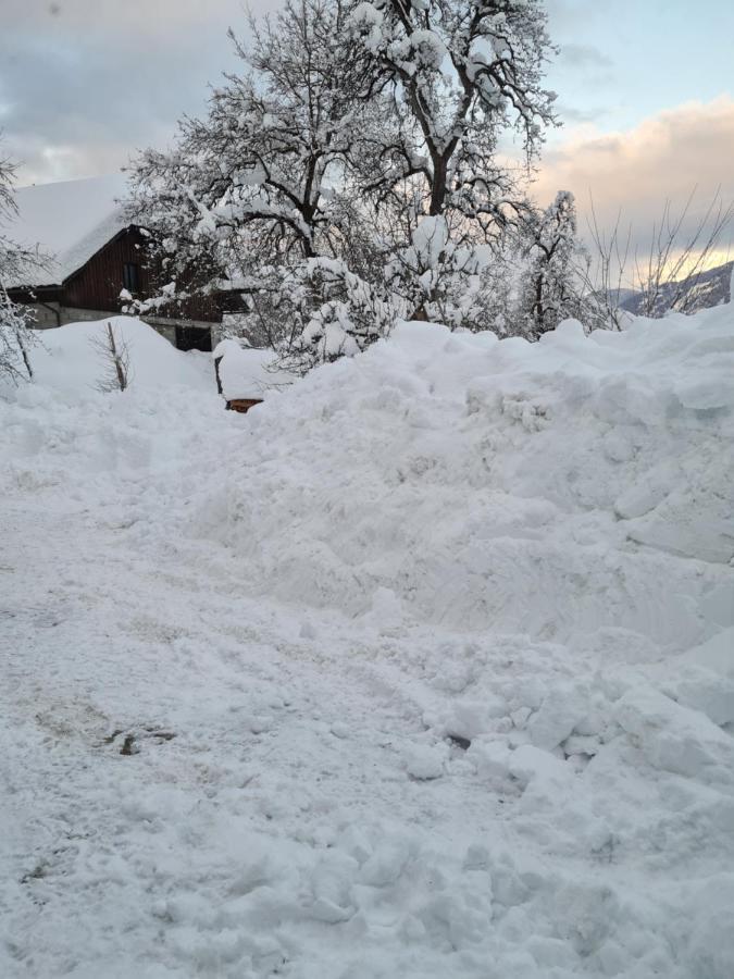 Ferienwohnung Salburg,Troepolach Zewnętrze zdjęcie